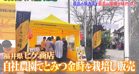 マツコの知らない世界 焼き芋 福井 ヒゲ商店