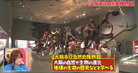 マツコの知らない世界 博物館グッズ一覧 大阪市立自然史博物館