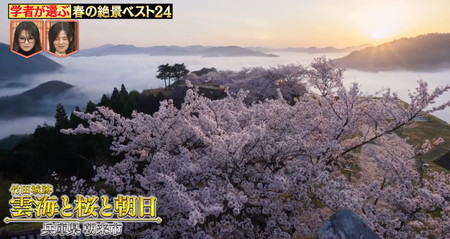 林修のニッポンドリル 春の絶景ランキング1位 兵庫 竹田城の雲海と桜と朝日