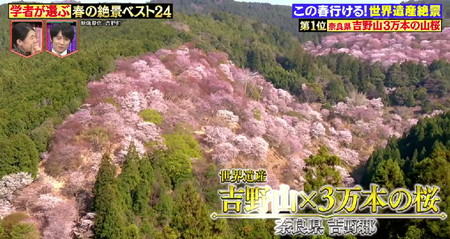 林修のニッポンドリル 春の絶景ランキング1位 吉野山3万本の山桜