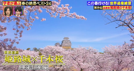 林修のニッポンドリル 春の絶景ランキング8位 姫路城の千本桜