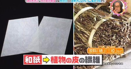 チコちゃん 和紙と西洋紙の違い 原料が植物