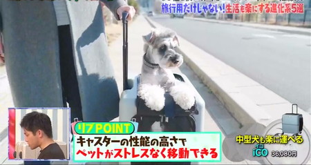 マツコの知らない世界 スーツケースおすすめ ペット用 ペチコイコは中型犬対応