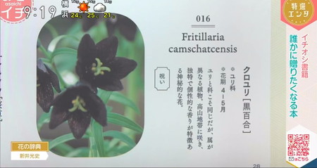 あさイチ 今日の本紹介 花の辞典のクロユリ