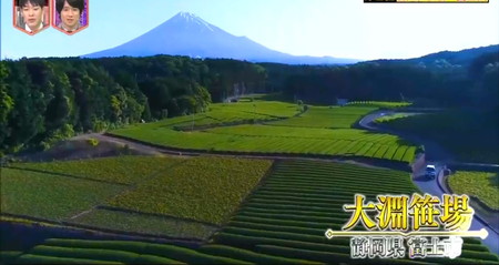 林修のニッポンドリル GWの絶景ランキング2位 静岡 富士山と茶畑