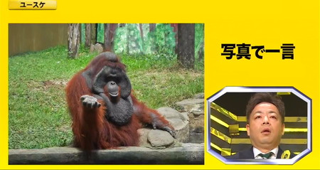 IPPONグランプリ写真で一言の画像＆回答 ユースケ あちらの方にバナナ