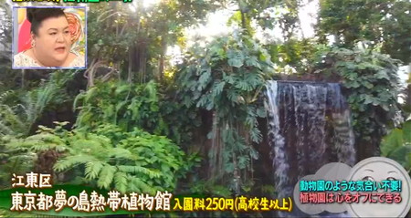 マツコの知らない世界 植物園 東京おすすめ 夢の島熱帯植物館
