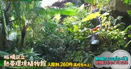 マツコの知らない世界 植物園 東京おすすめ 板橋区立熱帯環境植物館