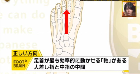 足首ストレッチ＆トレーニング 人差し指と中指の中間が軸 フットブレイン