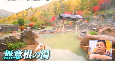 マツコの知らない世界 紅葉温泉19選 北海道の豊平峡温泉