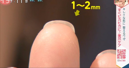 あさイチ 爪の長さは指先から1ミリから2ミリ