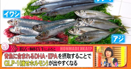 ホンマでっかダイエット2024 痩せホルモンの食べ物 青魚のDHA、EPA