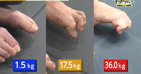 トリセツショー 足の握力と足指の可動域の関係