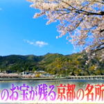 Qさま 春の京都観光名所ランキング10選＋番外編 1位は世界遺産の東寺