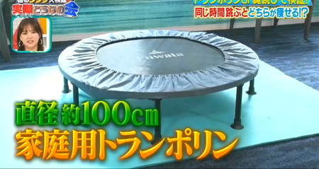 それって実際どうなの会のトランポリン