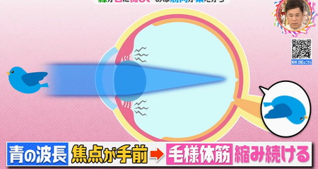 青色を見ると目の筋肉は緊張しっぱなし
