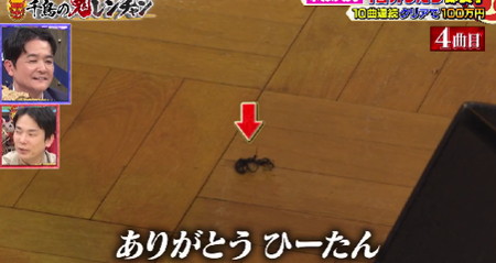 鬼レンチャン ひーたんは糸くずの式神