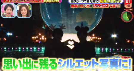 瞬間回答ディズニー編まとめ アクアスフィアのシルエット写真ツーショット