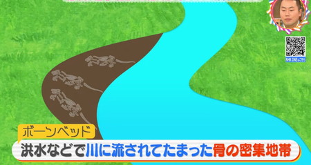 恐竜の化石が多く見つかるボーンベッド
