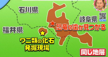 福井県で恐竜の化石がたくさん見つかるようになったきっかけ