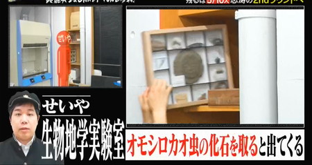 学校かくれんぼの隠れ場所 せいやは化石標本と共に