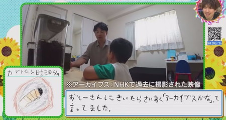 チコちゃんスタッフの子どものカブトムシ観察日記と大人の事情