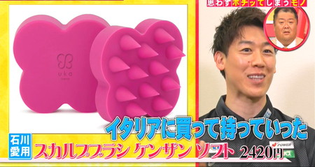ホンマでっかTV石川祐希の愛用ヘッドマッサージスカルプブラシ
