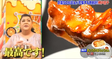マツコの知らない世界のローカル餃子で神戸餃子に最高とマツコ